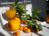 Naranjas dulces desde la comodidad de tu hogar